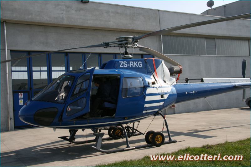 elifoto (202)